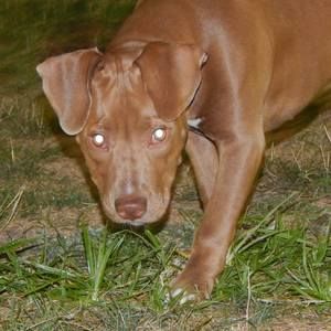 Meet your Posher, Yvonne